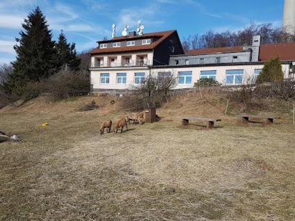 Berggasthof Zum Steira Schotten Exteriör bild